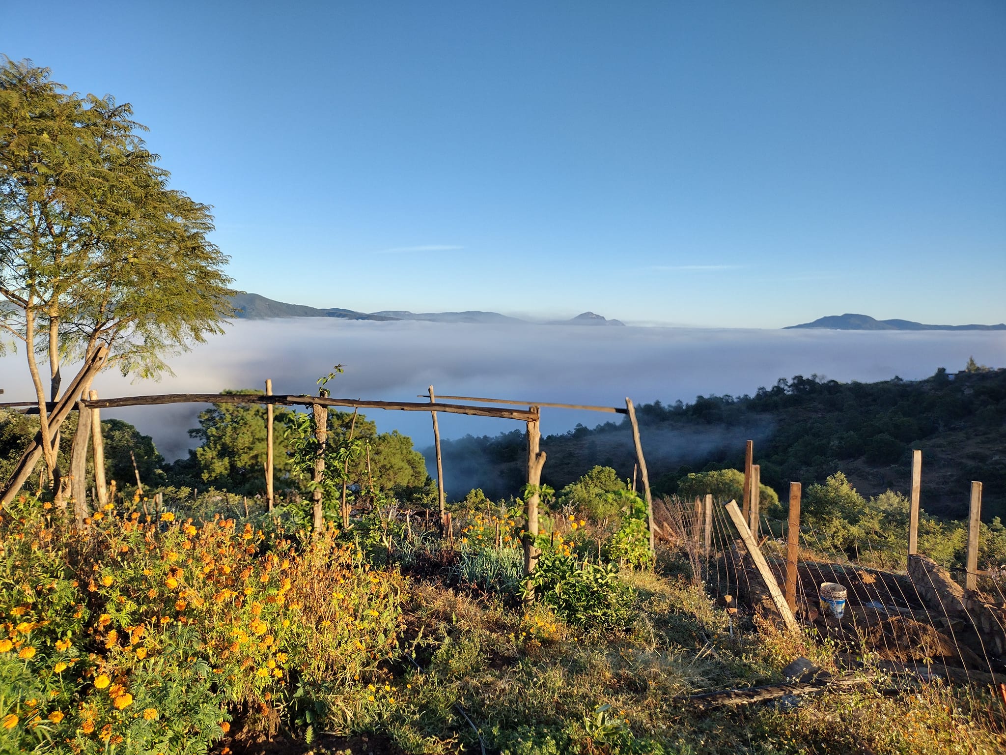 Don’t wait, act now!